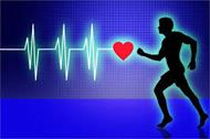 پاورپوینت سازگاری های قلبی عروقی در ورزش